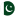 Pakistan flag